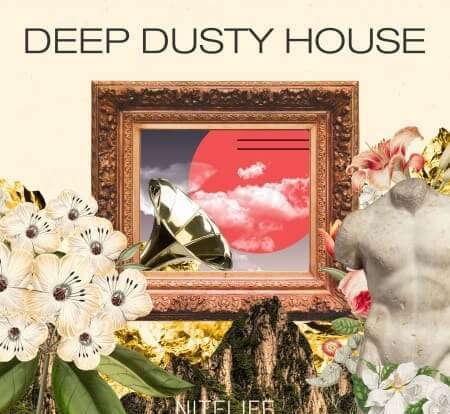 NITELIFE Audio Deep Dusty House WAV